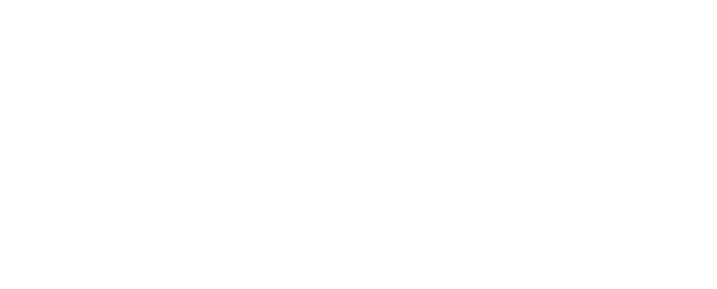 Promises Dallas-Fort Worth logo